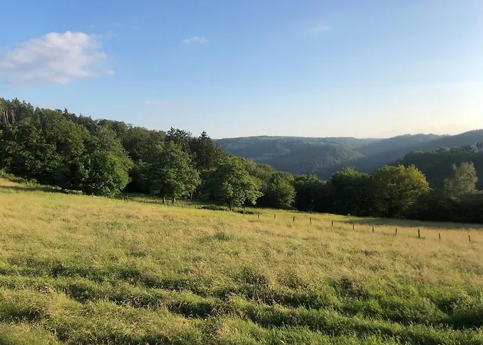 Serenite 홈스테이 *